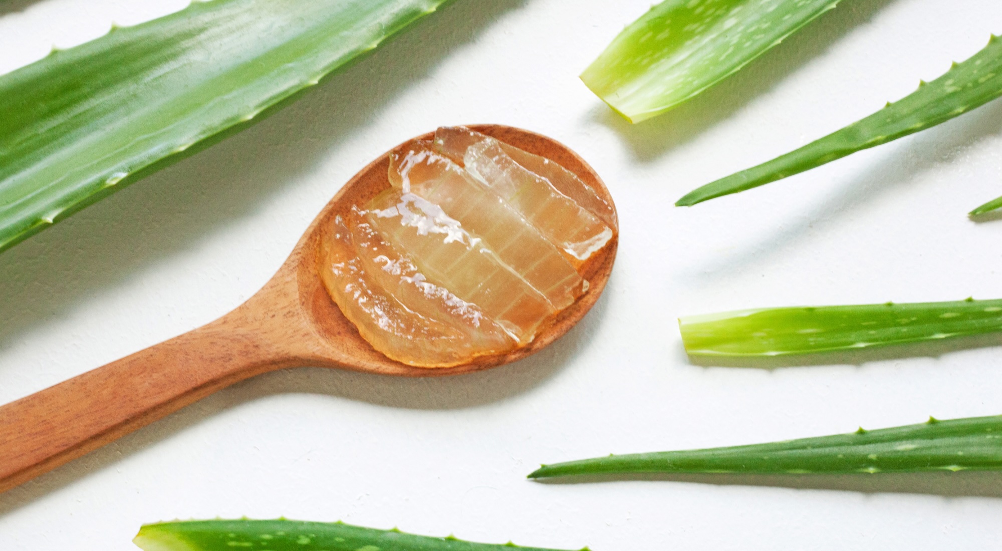 ¿Cómo usar el Aloe vera en mi rostro?