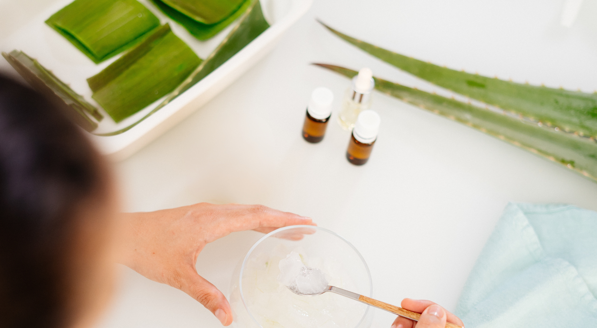 Aloe vera y quemaduras solares: beneficios y uso