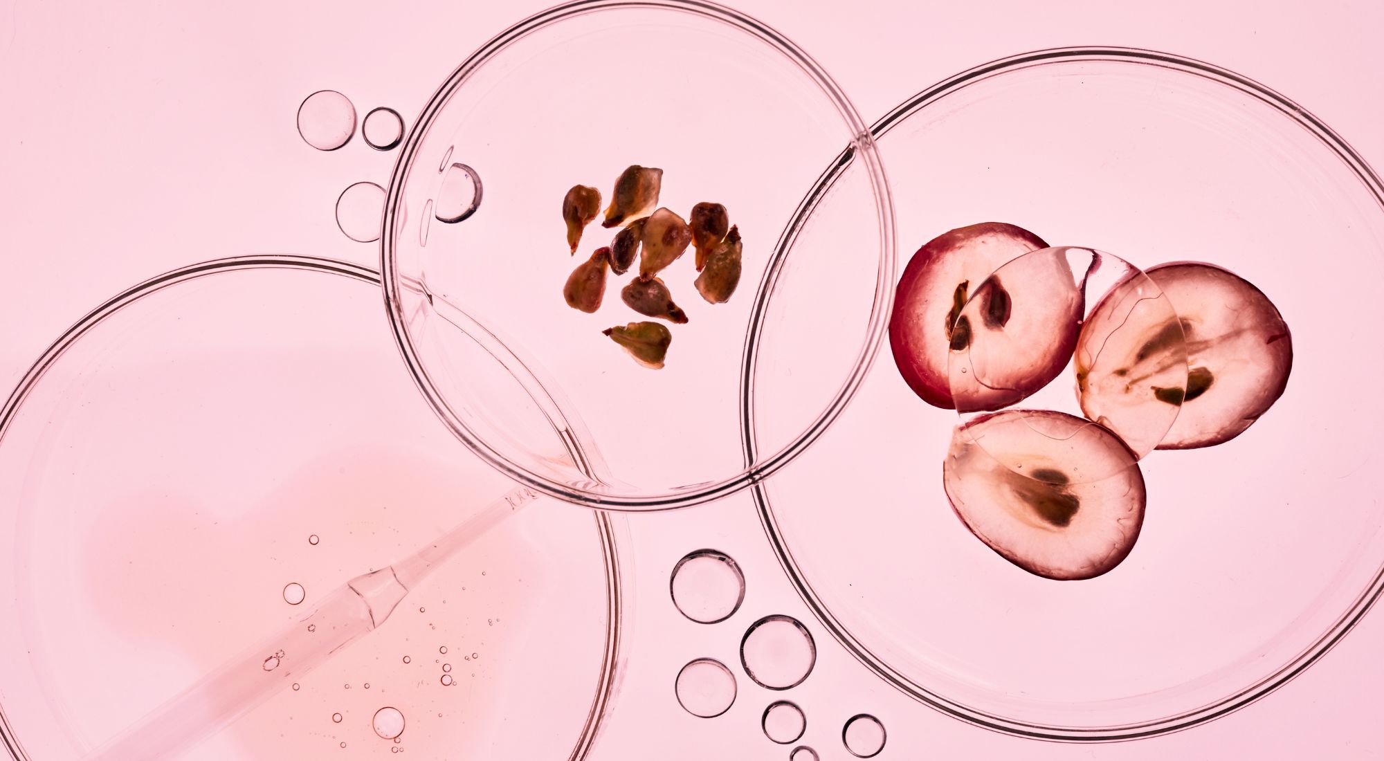 Aceite de semillas de uva. Mejora la elasticidad de tu piel